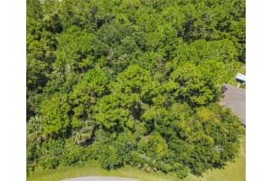 47 FANSHAWE LANE, PALM COAST, FL 32137 - MLS#MFRFC317384