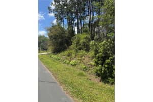 19 BASSETT LANE, PALM COAST, FL 32137 - MLS#MFRFC317395