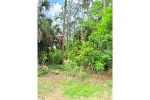 39 BRADDOCK LANE, PALM COAST, FL 32137 - MLS#MFRFC317611