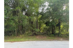 11 PATRICK PLACE, PALM COAST, FL 32164 - MLS#MFRFC317625