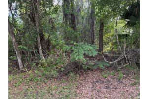 11 PATRICK PLACE, PALM COAST, FL 32164 - MLS#MFRFC317625