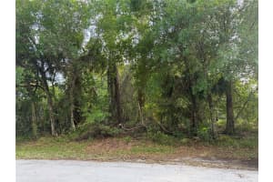 11 PATRICK PLACE, PALM COAST, FL 32164 - MLS#MFRFC317625