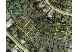 XXXX Z SECTION, PALM COAST, FL 32137 - MLS#MFRFC317651