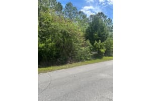 27 BIRCHWOOD DRIVE, PALM COAST, FL 32137 - MLS#MFRFC317874