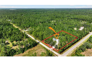 10570 DELGADO AVENUE, HASTINGS, FL 32145 - MLS#MFRFC317942