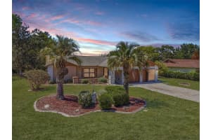 8081 PAGODA DRIVE, SPRING HILL, FL 34606 - MLS#MFRFC317983