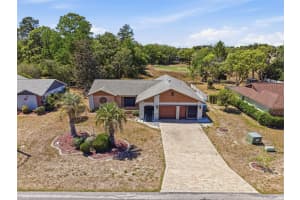 8081 PAGODA DRIVE, SPRING HILL, FL 34606 - MLS#MFRFC317983