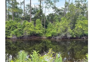33 WENDY LANE, PALM COAST, FL 32164 - MLS#MFRFC318185