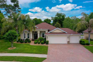 29 ARENA LAKE DRIVE, PALM COAST, FL 32137 - MLS#MFRFC318286