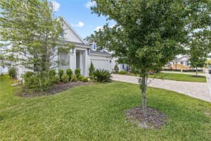 42 ROSE BUD LANE, ST AUGUSTINE, FL 32092 - MLS#MFRFC318371
