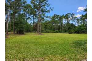 1112 AVOCADO BOULEVARD, BUNNELL, FL 32110 - MLS#MFRFC318584