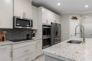 141 WOOD STORK LANE, PALM COAST, FL 32164 - MLS#MFRFC318802
