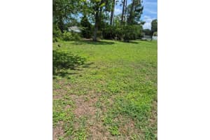 173 RYBERRY DRIVE, PALM COAST, FL 32164 - MLS#MFRFC319014