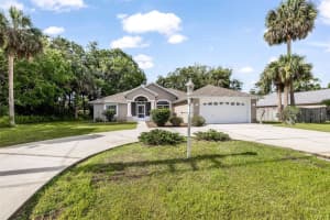 9 WHIPPOORWILL DRIVE, PALM COAST, FL 32164 - MLS#MFRFC319093