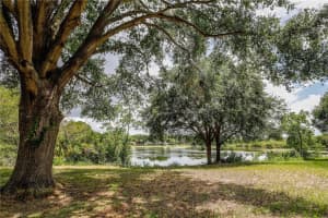 3120 Mary Ln, Mt Dora, FL 32757, Sold 08/16/17