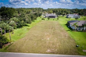 5941 Tangerine Reserve Ct, Mt Dora, FL 32757, Sold 03/01/22