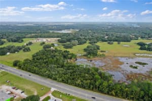 1401 STATE ROAD 44, LEESBURG, FL 34748 - MLS#MFRG5023066