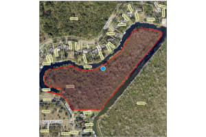 TAMMI DR, TAVARES, FL 32778 - MLS#MFRG5045305