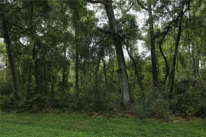 2912 PLYMOUTH OAKS RD, APOPKA, FL 32712 - MLS#MFRG5047328