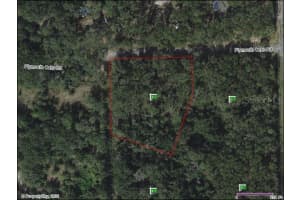2912 PLYMOUTH OAKS RD, APOPKA, FL 32712 - MLS#MFRG5047328