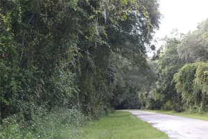 2900 PLYMOUTH OAKS RD, APOPKA, FL 32712 - MLS#MFRG5047330
