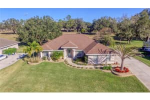 9562 Co Rd 125C, Wildwood, FL 34785, Sold 03/08/22