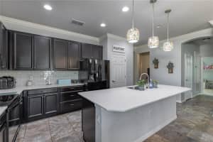 1357 Merion Dr, Mt Dora, FL 32757, Sold 03/31/22