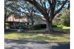 4300 Baywood Blvd, Mt Dora, FL 32757, Sold 04/15/22