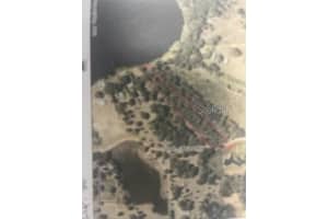  S OBRIEN RD, GROVELAND, FL 34736 - MLS#MFRG5054425