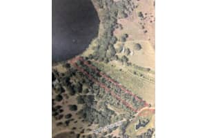  S OBRIEN RD, GROVELAND, FL 34736 - MLS#MFRG5054434
