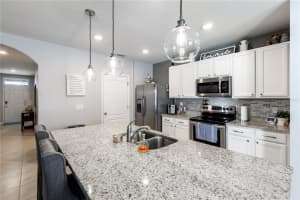 3145 Bethpage Loop, Mt Dora, FL 32757, Sold 06/09/22