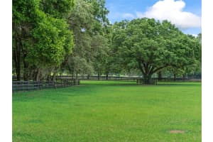 1049 SE 131ST ST, OCALA, FL 34480 Sold 09/08/22