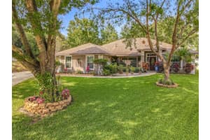 10225 BONITA CT, CLERMONT, FL 34711 Sold 07/20/22