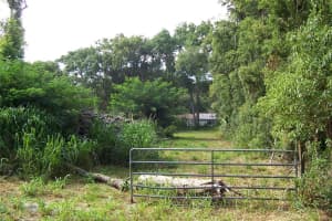 GRANT AVE, EUSTIS, FL 32726 - MLS#MFRG5056401