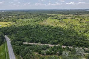 15820 WILSON PARRISH ROAD, UMATILLA, FL 32784 - MLS#MFRG5057085