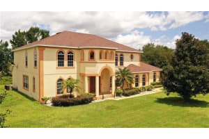 18347 GREAT BLUE HERON DR, GROVELAND, FL 34736 Sold 11/01/22
