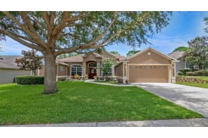 113 COMPASS ROSE DR, GROVELAND, FL 34736 Sold 12/09/22