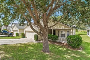 1133 BLUEGRASS DR, GROVELAND, FL 34736 Sold 11/01/22