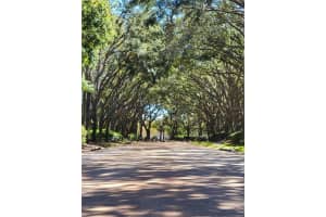 381 Lancer Oak Dr, Apopka, FL 32712, Sold 03/08/23