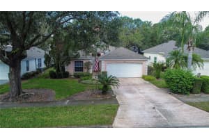 317 BAYTREE BLVD, TAVARES, FL 32778 Sold 06/02/23