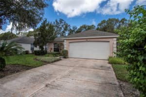 317 BAYTREE BLVD, TAVARES, FL 32778 Sold 06/02/23