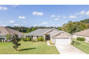 9808 PEPPER TREE TRL, WILDWOOD, FL 34785 Sold 03/01/23