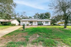 341 RIVER GLASS CT, LEESBURG, FL 34788 Sold 05/28/23