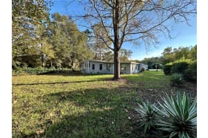 2125 STACEY DR, MOUNT DORA, FL 32757 Sold 04/25/23