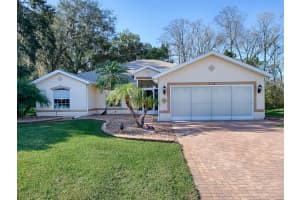 702 OLD OAKS LANE, LEESBURG, FL 34748 Sold 02/28/24