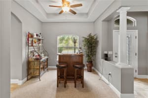 30344 REDTREE DRIVE, LEESBURG, FL 34748 Sold 06/07/23