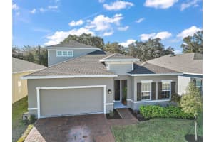 336 AUGUST FERN LOOP, MOUNT DORA, FL 32757 Sold 03/08/23