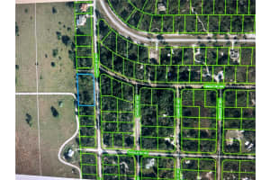 316 CHRISTINE STREET, LAKE PLACID, FL 33852 - MLS#MFRG5064318
