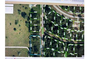 316 CHRISTINE STREET, LAKE PLACID, FL 33852 - MLS#MFRG5064318