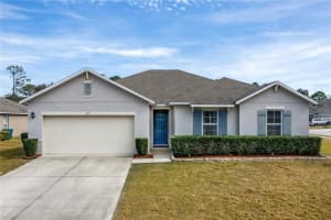 317 SUNNY FIELD COURT, EUSTIS, FL 32726 Sold 03/15/23